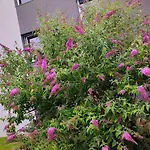Orlowo