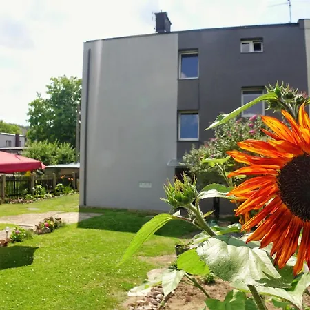 Orlowo Appartement *