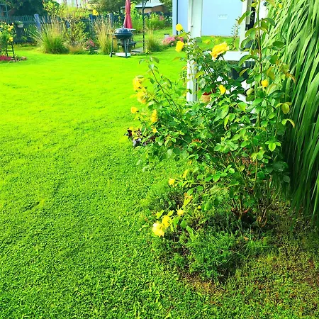 Orlowo * غدينيا