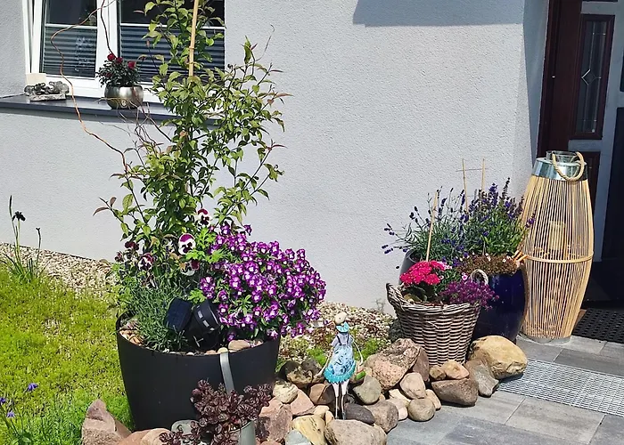 Orlowo Appartement *