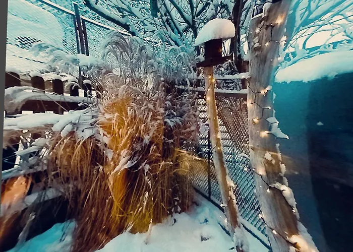 Orlowo Γκντίνια